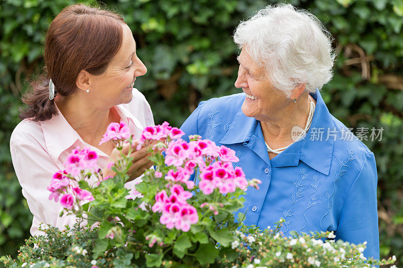 园艺-年长妇女与花