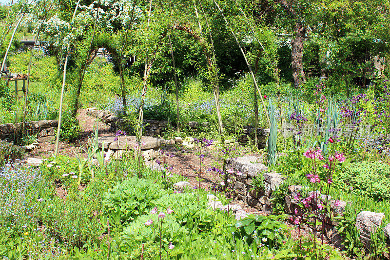 有活柳树拱门和凸起的床的观赏蔬菜花园