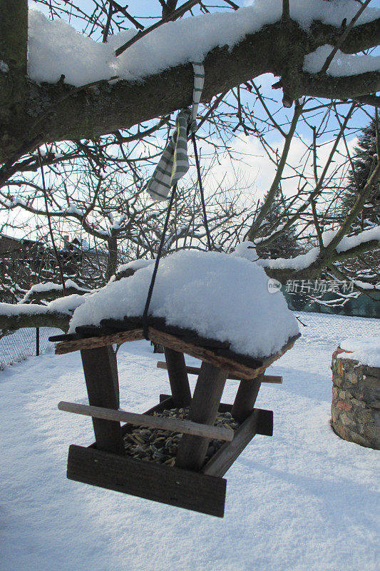 喂鸟器和雪