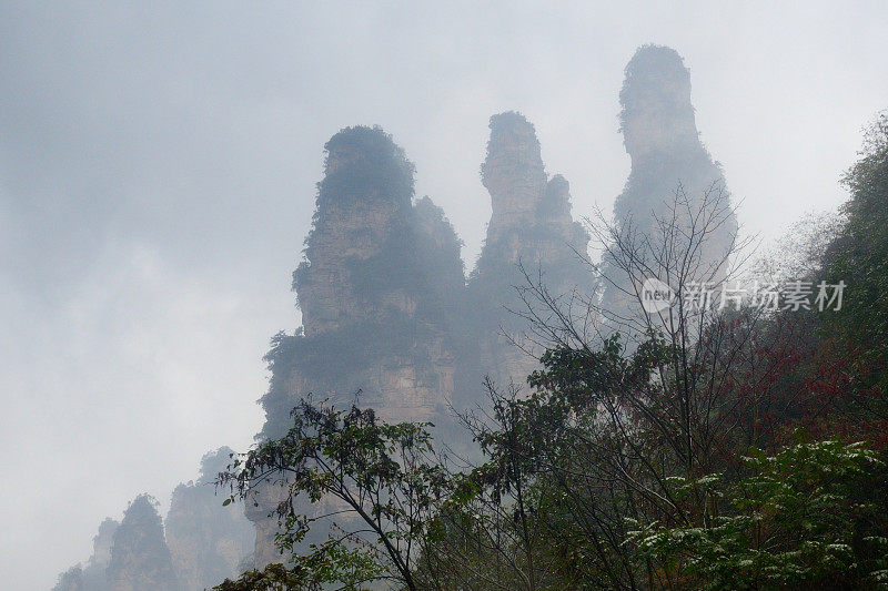 雨中的奇峰