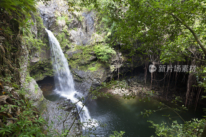 夏威夷雨林瀑布，毛伊岛