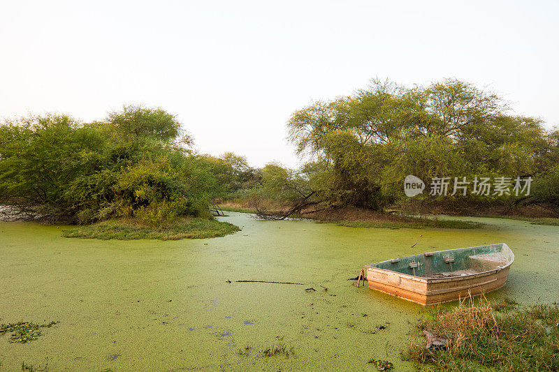 沼泽-巴拉普尔鸟类保护区国家公园