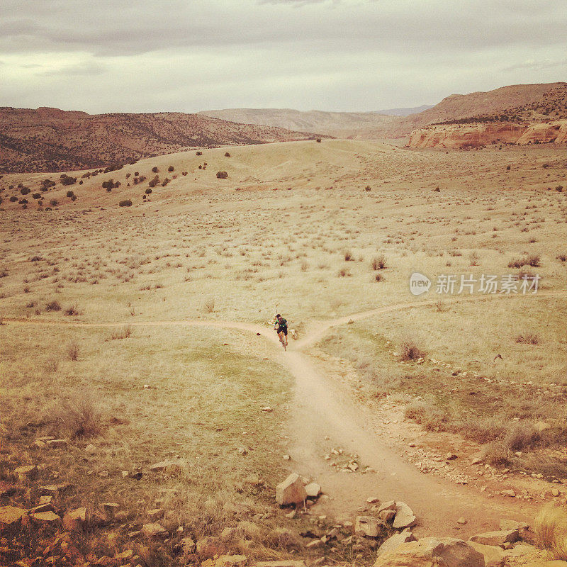 骑沙漠山地自行车