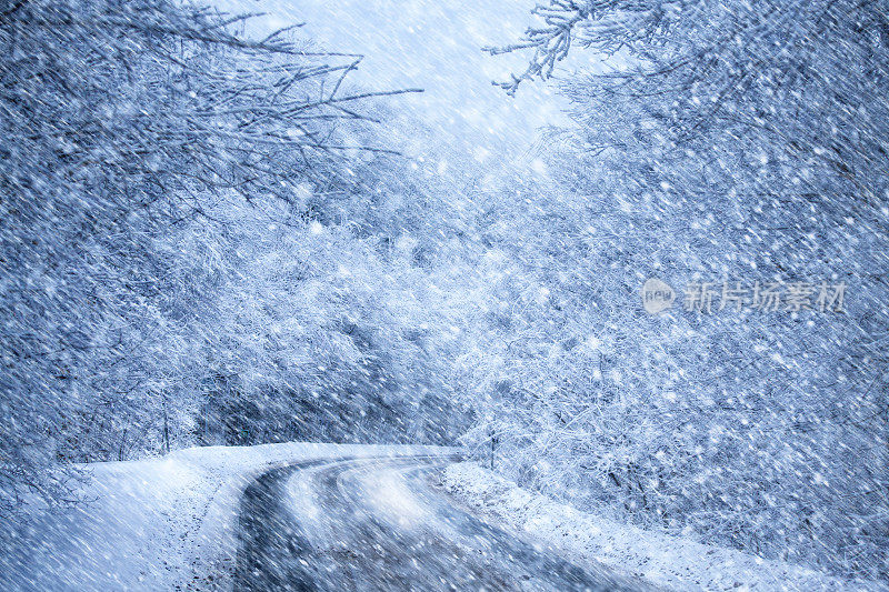 公路在冬天的森林在下雪