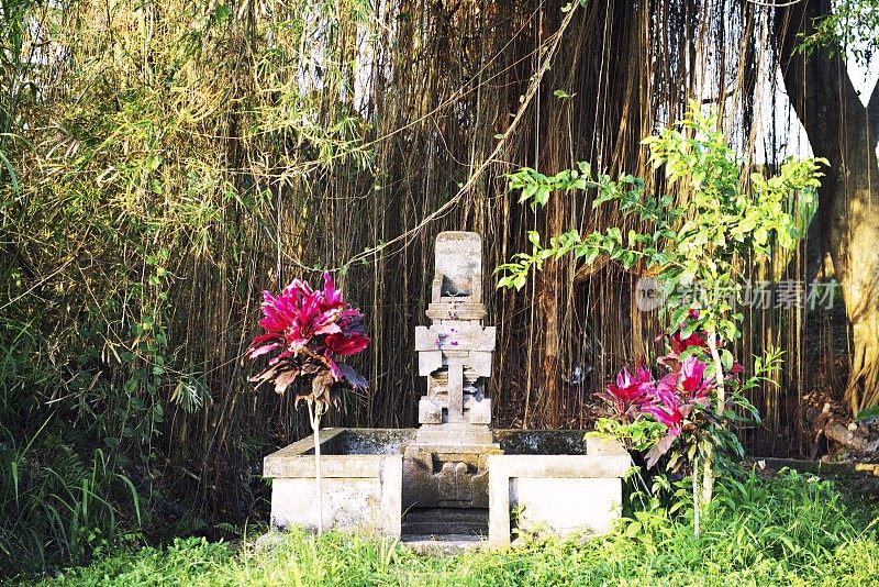 菩提树下的小神殿，乌布，印尼巴厘岛