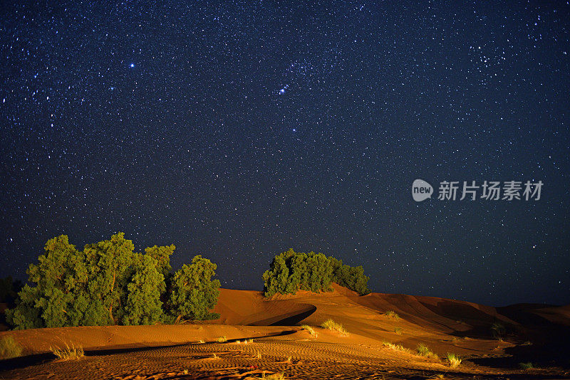 撒哈拉沙漠绿洲的星夜