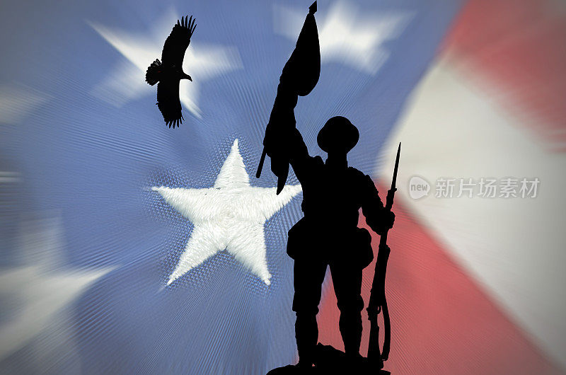 美国国旗，上面有士兵和鹰的剪影