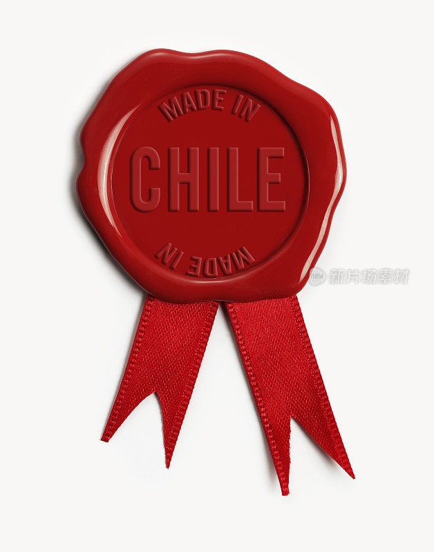 在智利