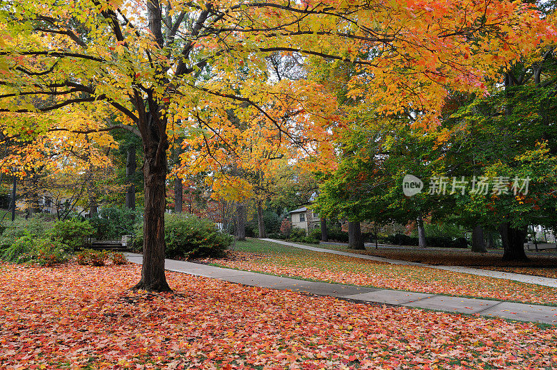 里海大学校园