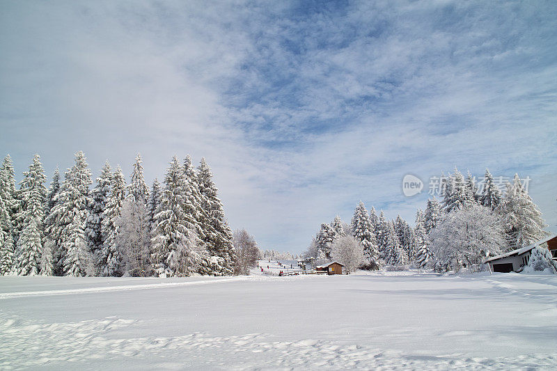 下雪的冬天的风景