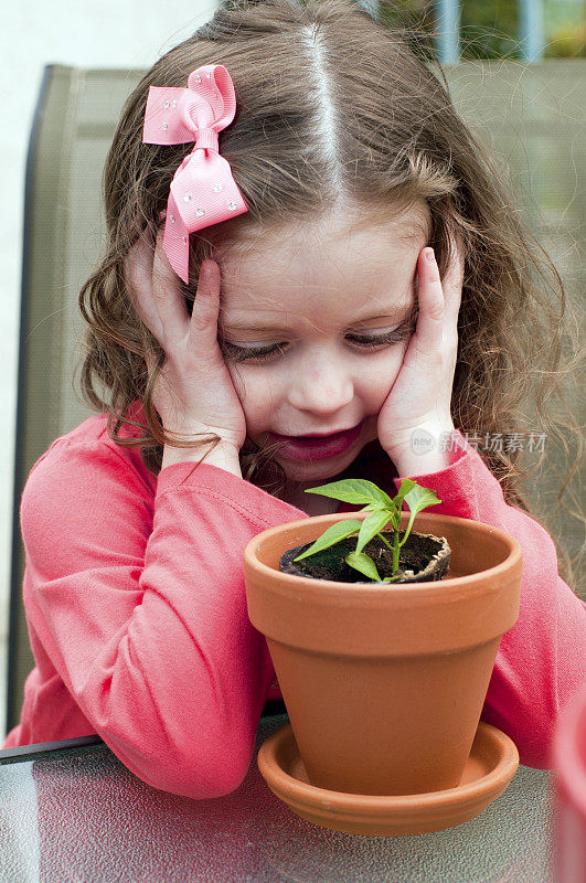 小女孩看着她的植物生长