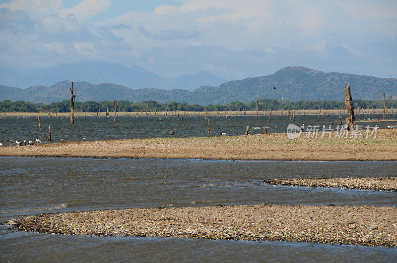 Polonnaruwa、斯里兰卡。