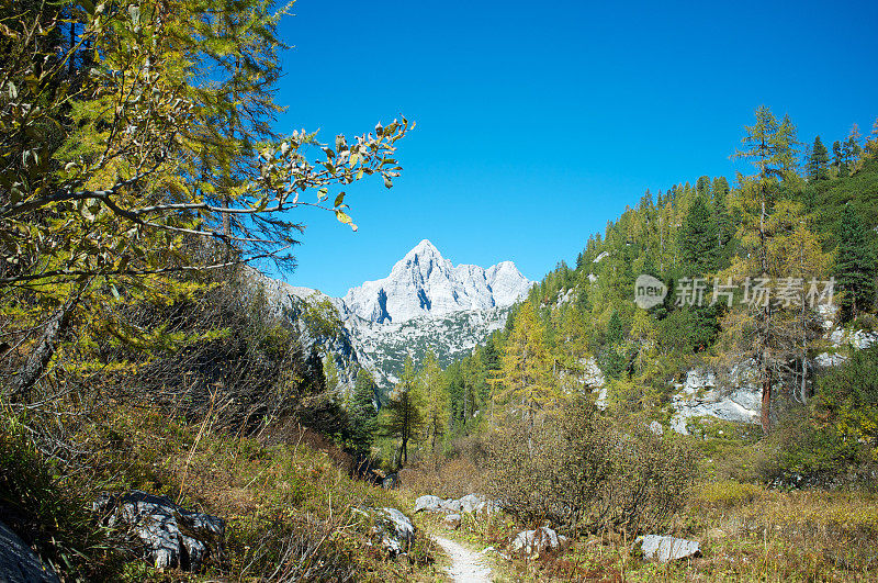 瓦茨曼山