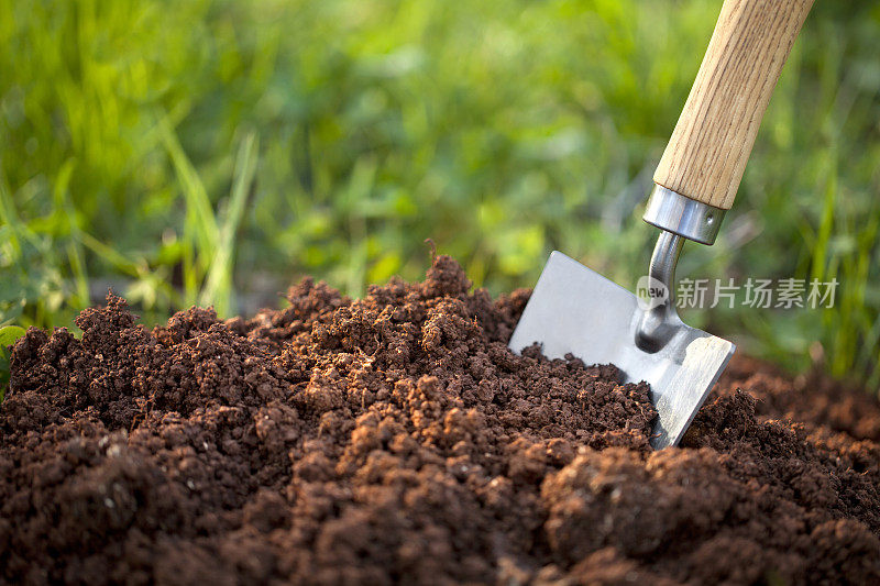 用花园泥铲铲土