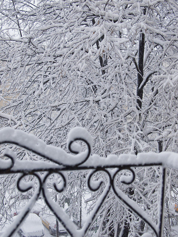 透过窗户可以看到白色的冬天，树上覆盖着雪