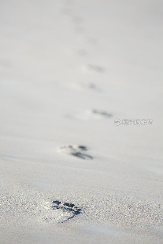 《沙滩上的脚印》，塞舌尔