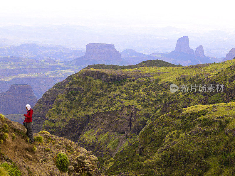 夫人在山