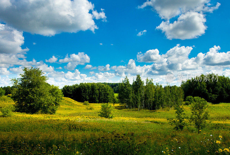 夏日风景