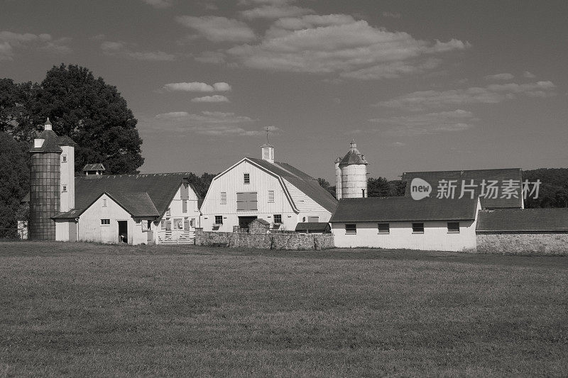 谷仓，筒仓，马厩，田野和农场