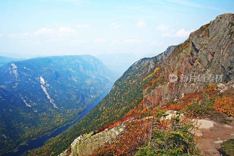 夏天的风景