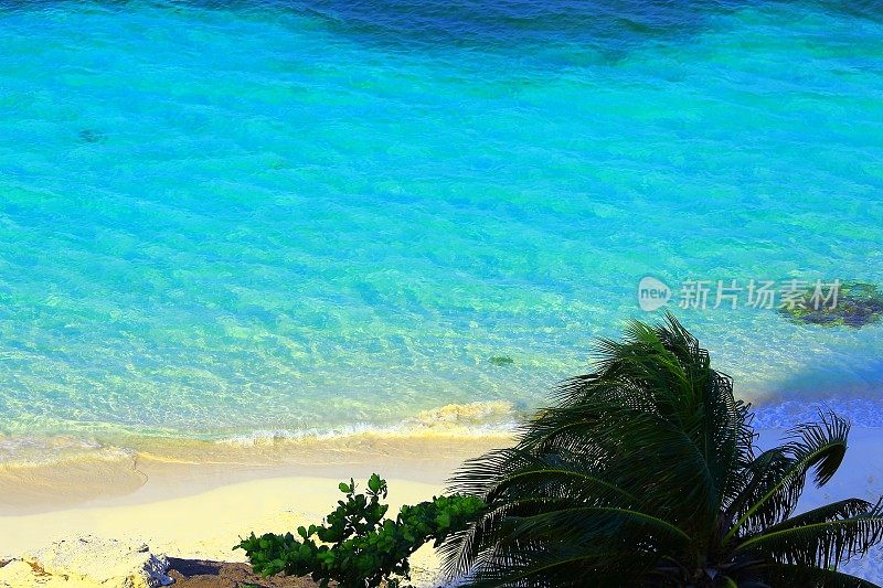 天堂:加勒比海坎昆日落时荒芜的棕榈海滩