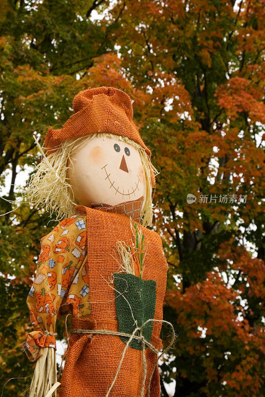 微笑的娃娃,秋天的颜色