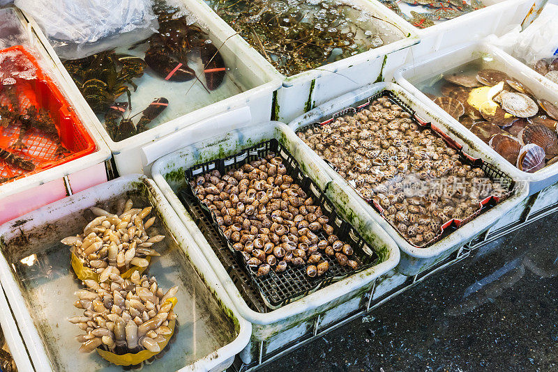广州鱼市上的龙虾和龙虾