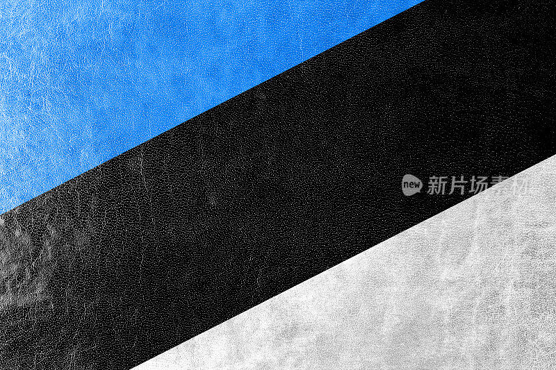 爱沙尼亚国旗涂在皮革纹理上