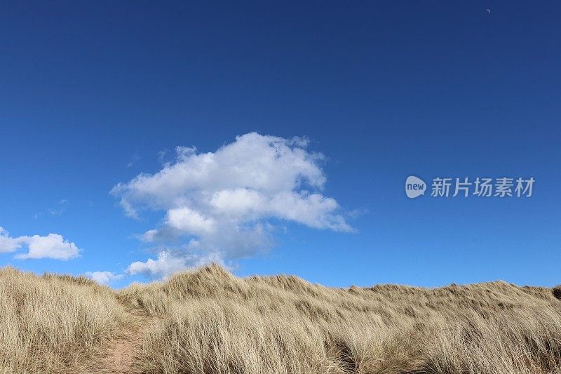 云景，云，海岸线，大海