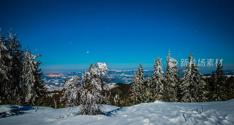 雪山中的夜杉树