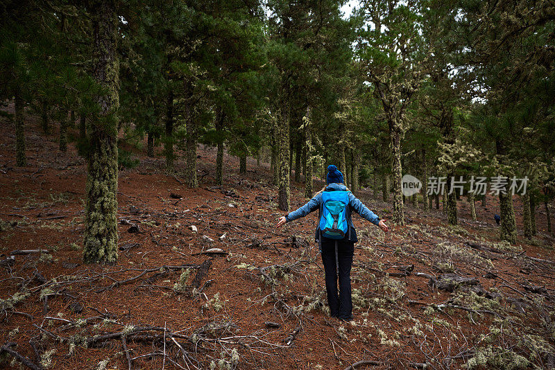 在森林里徒步旅行的女人