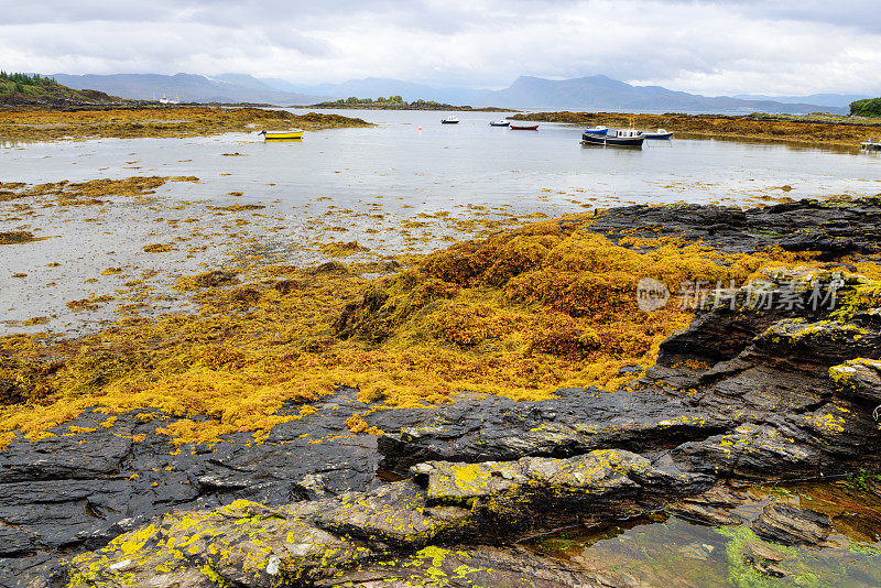 Pictureque海岸。Sleat半岛,苏格兰