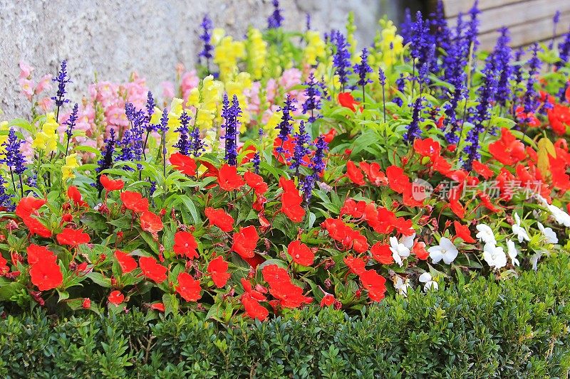 维也纳中央公共公园Stadtpark的装饰性花园和花坛