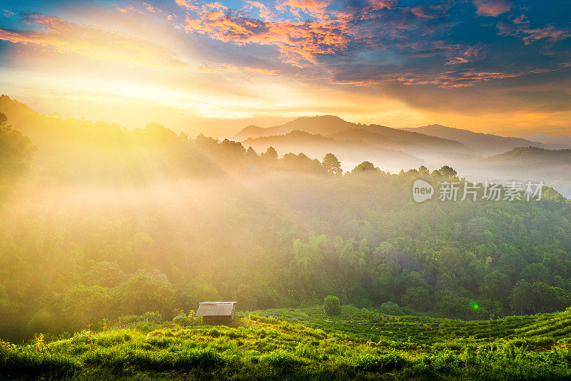 泰国北部的山景，日出和薄雾