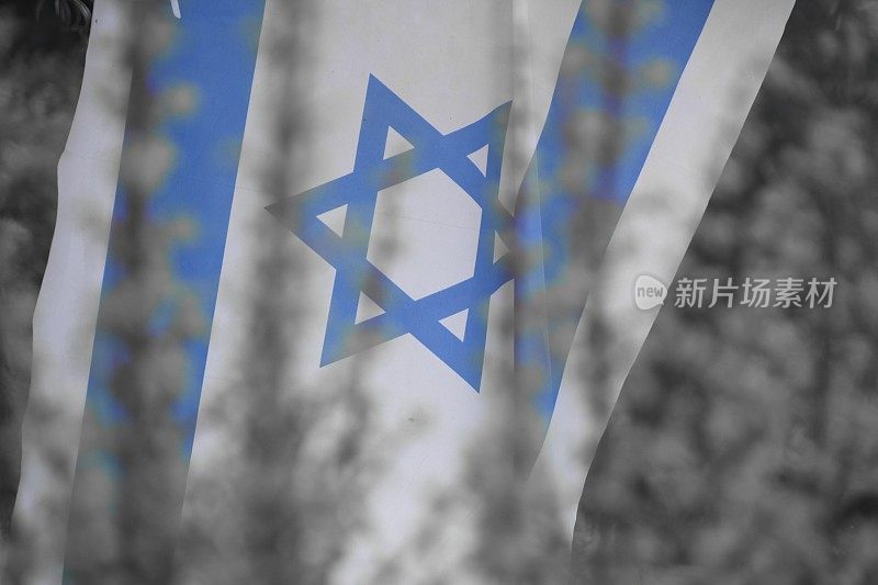 以色列的旗帜穿过橄榄树的枝条