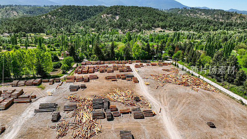 空中木材桩，柴火，从森林砍伐的树木，作为原材料的木材，造纸木材，锯树的鸟瞰图