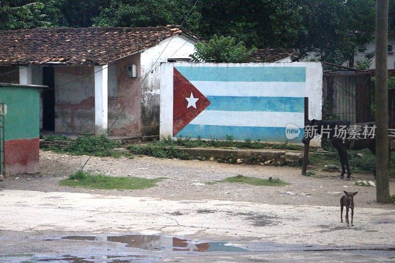 古巴-神圣的灵魂-古巴国旗和狗