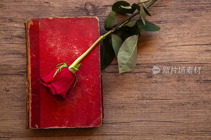 红书和玫瑰花