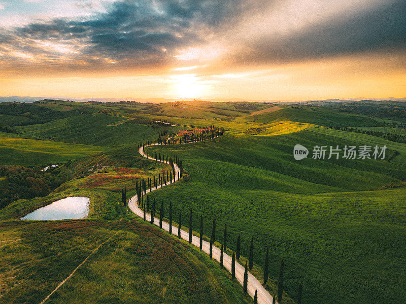 托斯卡纳柏树道路和起伏的景观