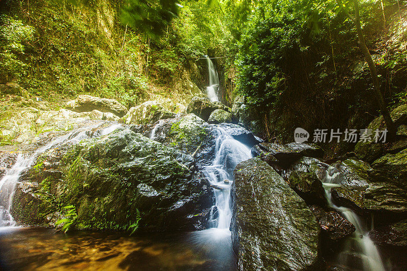 在郁郁葱葱的热带雨林场景中，流动的水流在岩石上