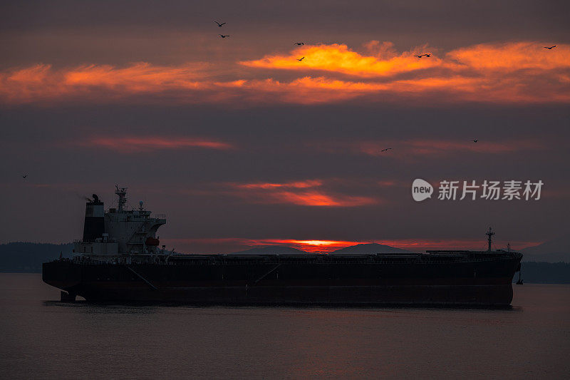 西雅图的日落