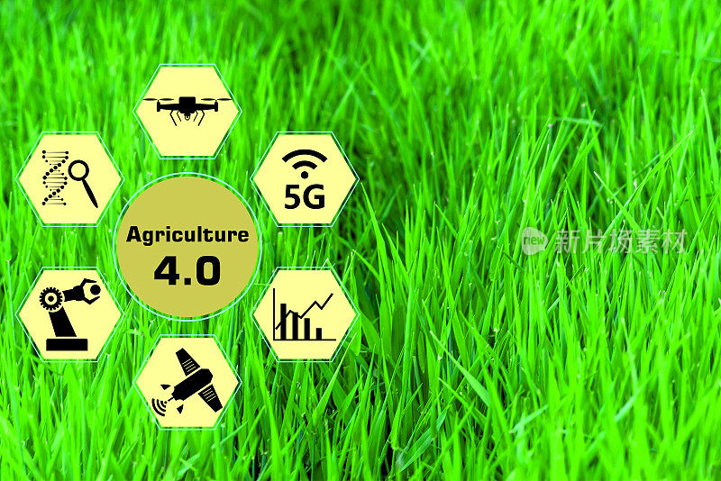 智慧农业4.0概念。农业生产。