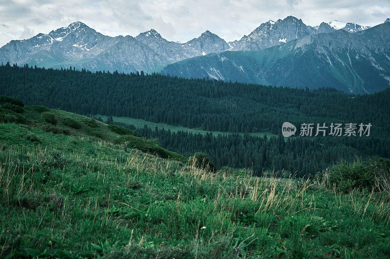 夏季山脊的高角度视图