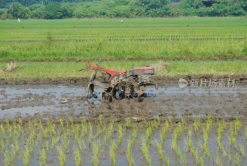 印度尼西亚农民的犁地机器。