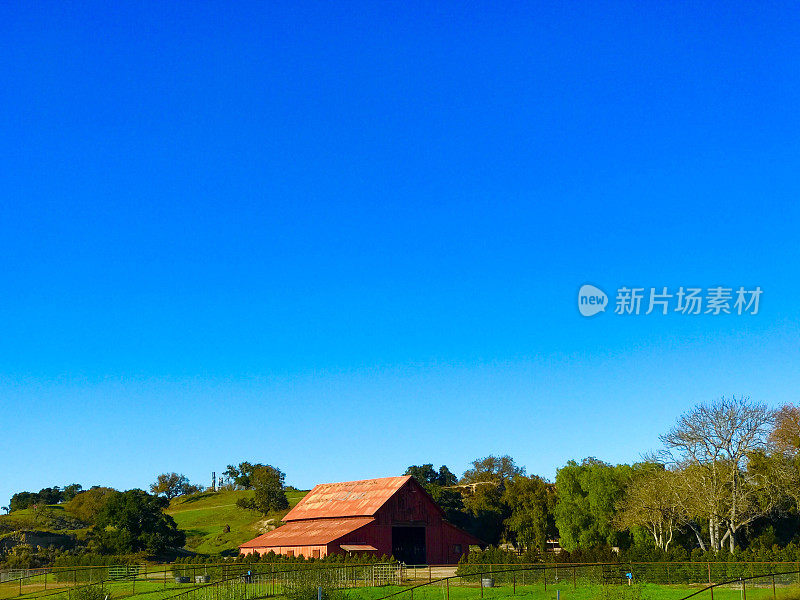 加州中部海岸景观