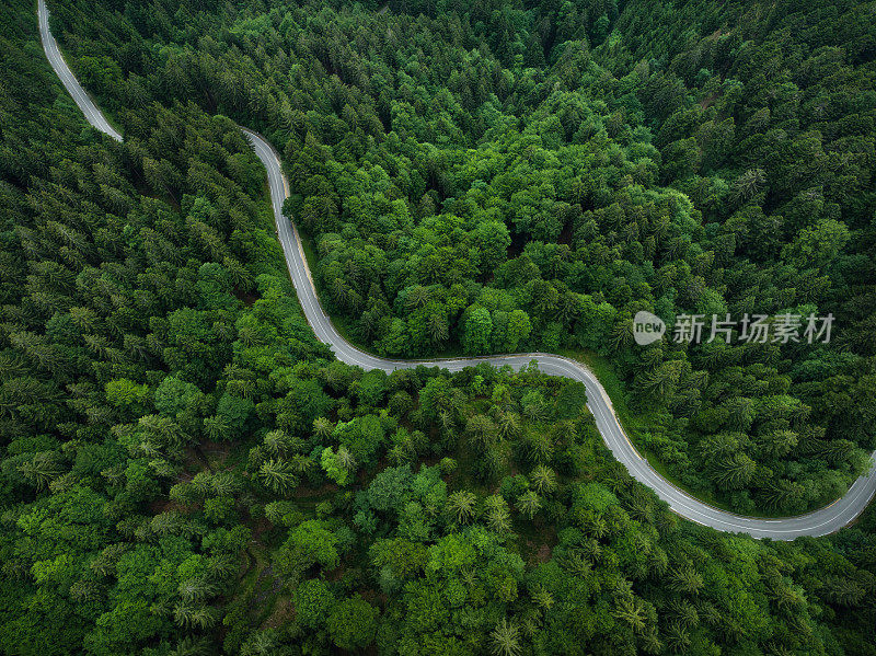 蜿蜒的道路