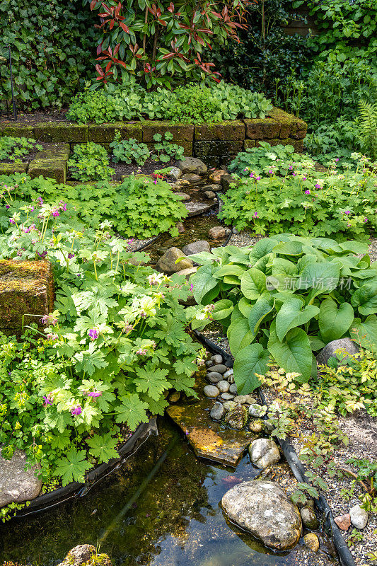 荷兰，天竺葵花园中带有岩石的小观赏溪流