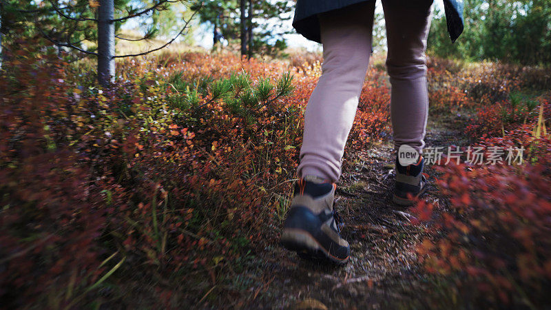 一个女人走在森林小路上的腿