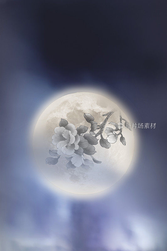 月亮,中秋节,牡丹,