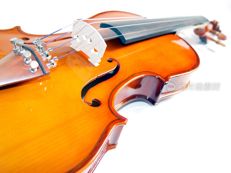 身体小提琴(系列)